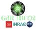 GDR IBCO2 logo