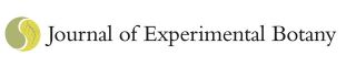 Journal of Experimental Botany logo