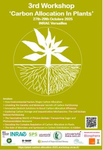 Affiche Workshop 2025