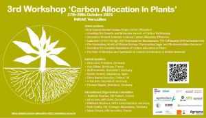 flyer 3rd Workshop Carbon Allocation in  plants